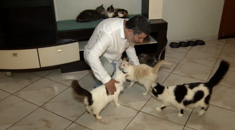 Homem com 104 gatos será despejado em Valinhos após atraso no aluguel