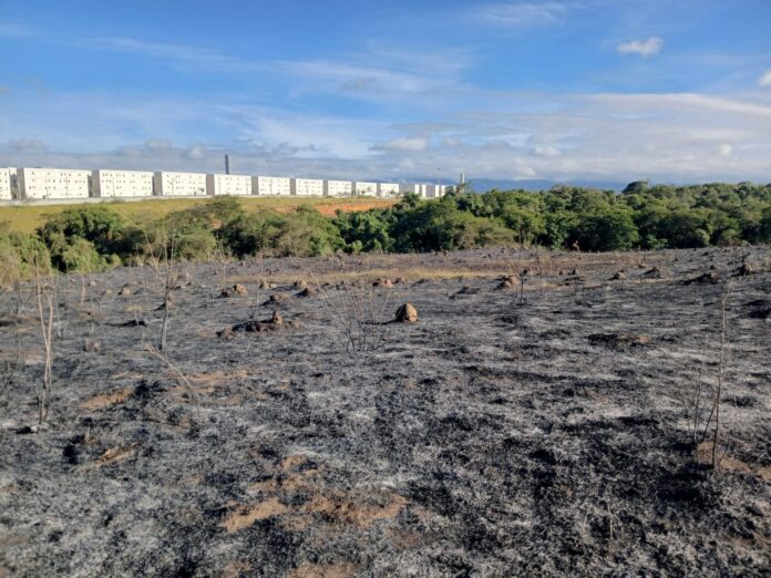 Cerca de 100 mil metros quadrados de vegetação são atingidos por incêndio em Taubaté
