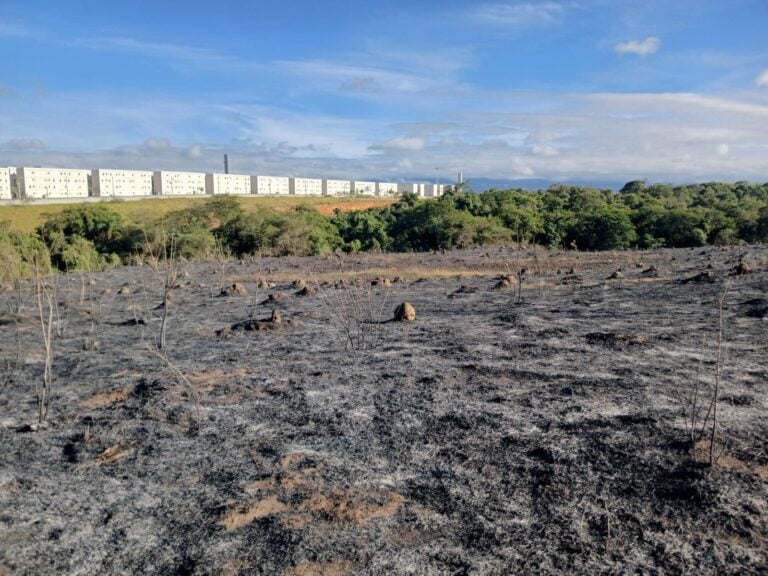 Cerca de 100 mil metros quadrados de vegetação são atingidos por incêndio em Taubaté