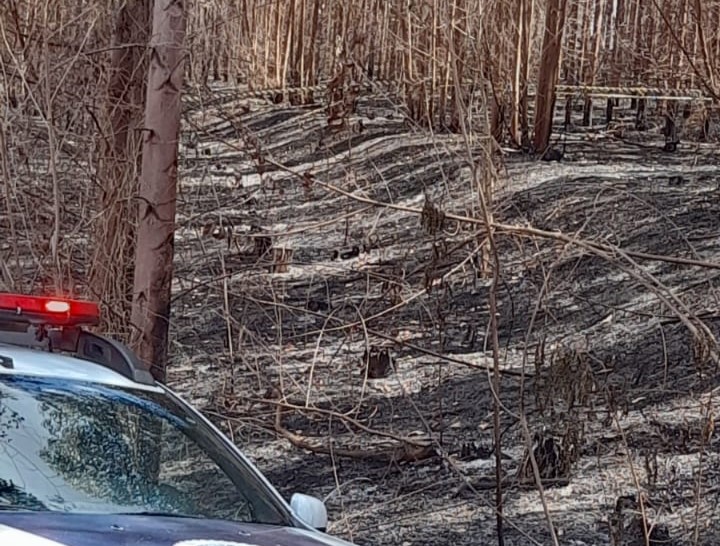 Área em que a ossada foi encontrada em Piracicaba