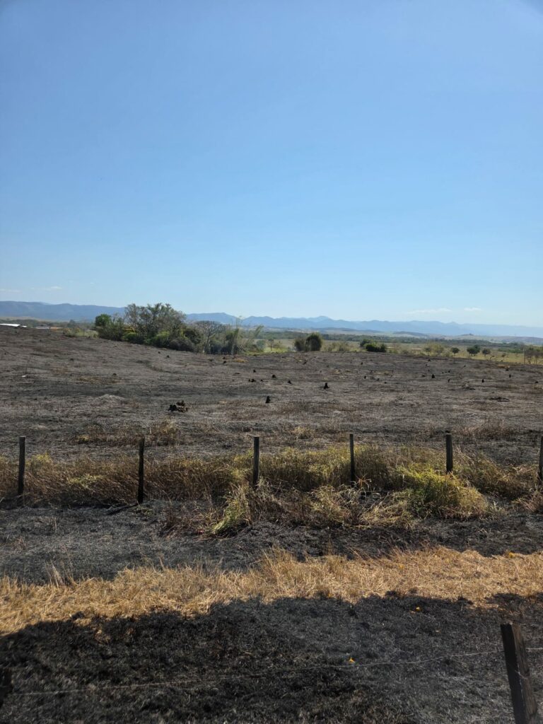 Incêndio atinge área de vegetação na zona leste de São José
