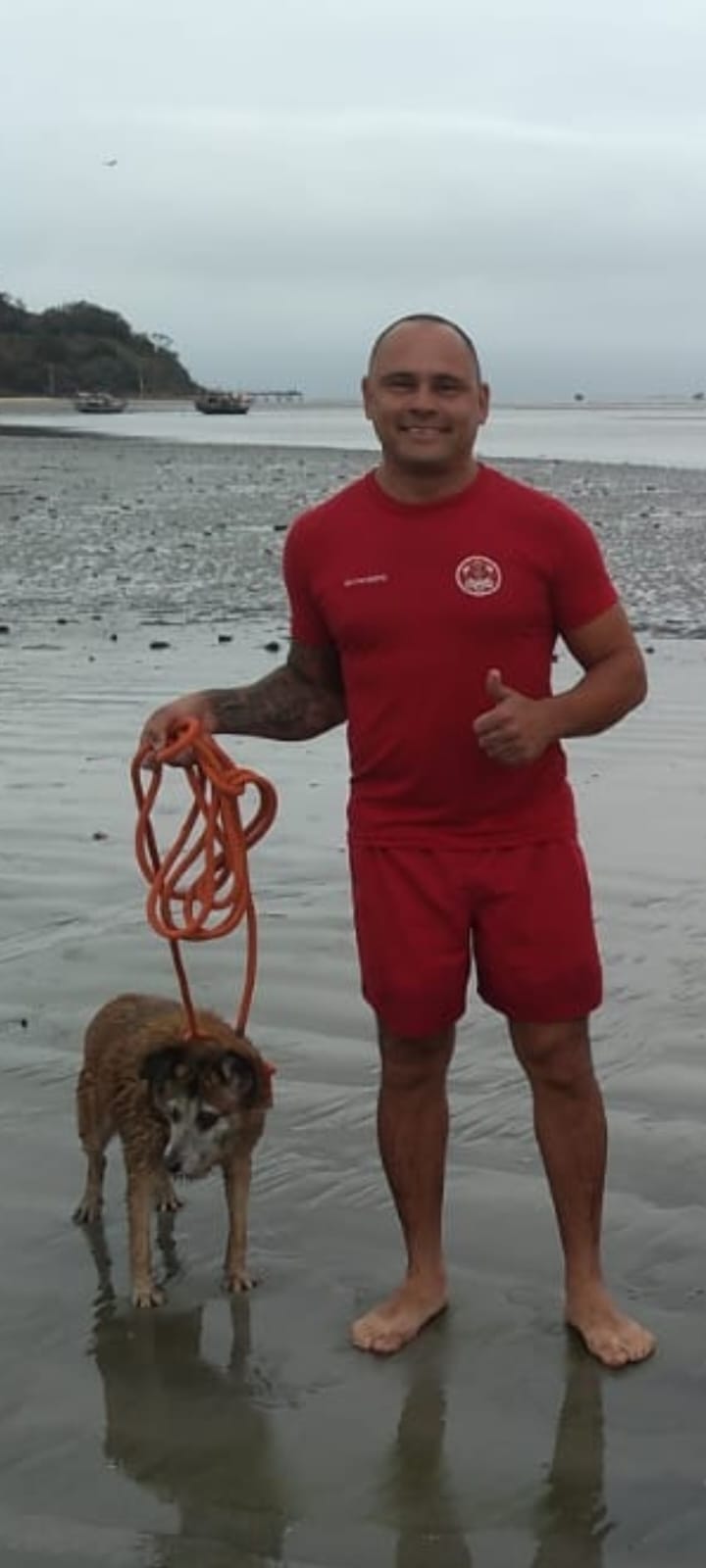 Bombeiros resgatam cão preso em banco de areia em Caraguatatuba