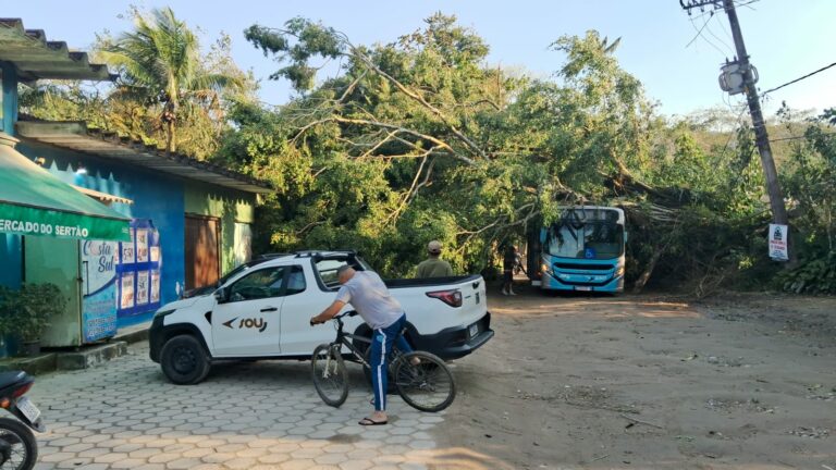Ventos fortes provocam queda de árvores e afetam trânsito em São Sebastião