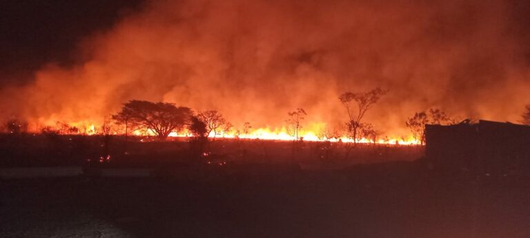 Incêndio atinge área de vegetação em Pindamonhangaba