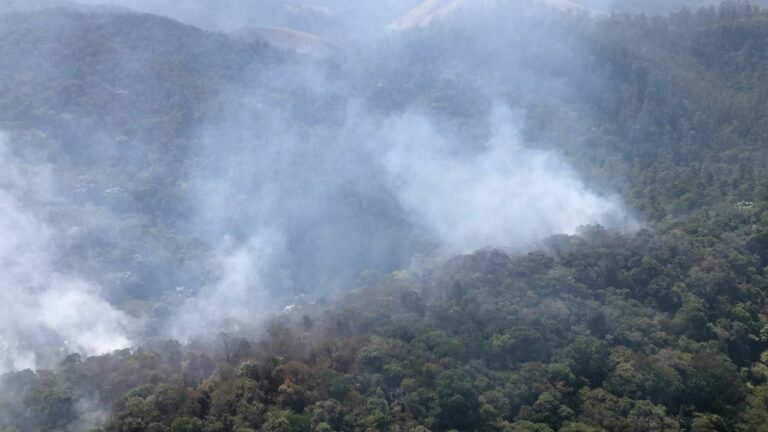 Defesa Civil acompanha incêndios em vegetação na região