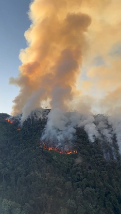 Incêndio em área de preservação entra no 5º dia de combate em Cruzeiro