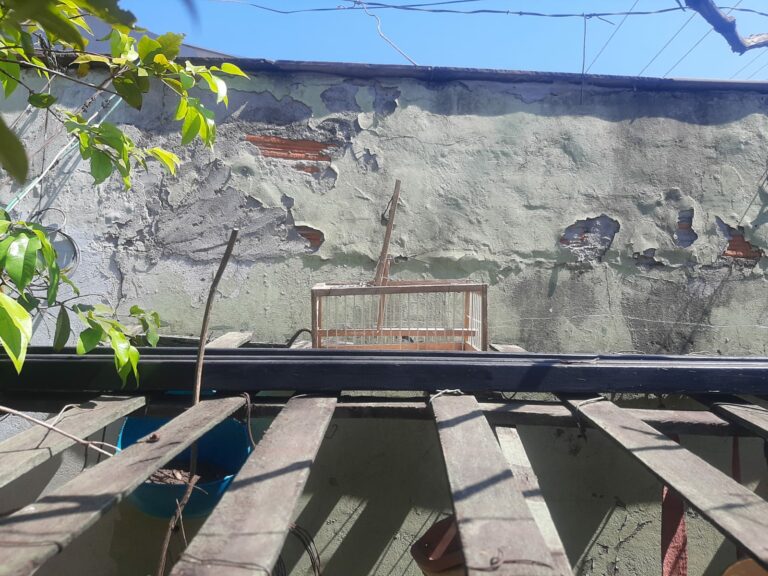 Idoso é autuado por caça ilegal de aves silvestres