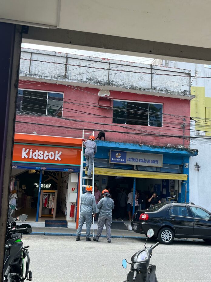 Cachorro é resgatado pelos bombeiros após cair de janela em Caraguatatuba