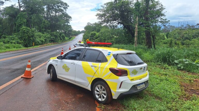 Neblina provoca suspensão de serviços na rodovia Oswaldo Cruz