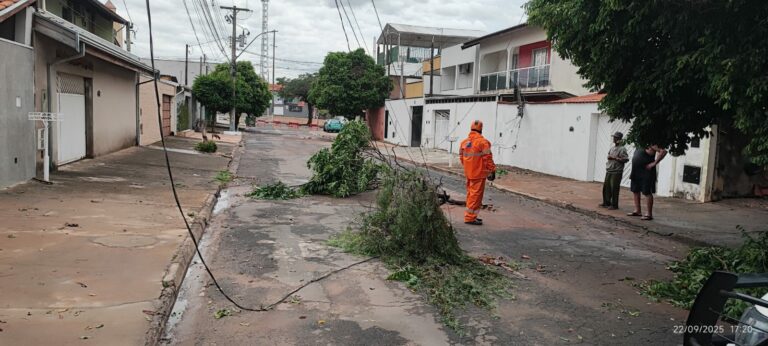 Ventania e chuva forte causam destruição em bairro de Paulínia