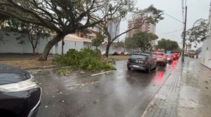 Temporal com ventos de até 109 km/h causa estragos em São José