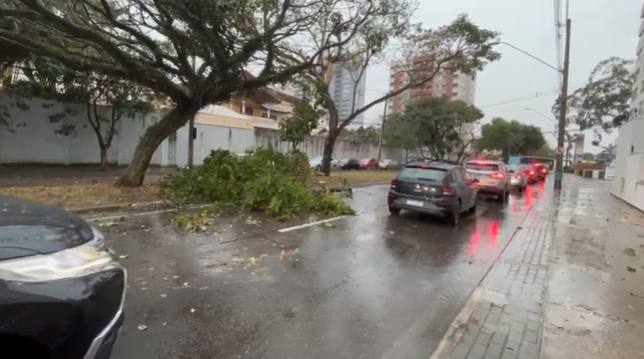 Temporal com ventos de até 109 km/h causa estragos em São José