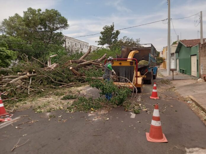 WhatsApp Image 2025-09-23 at 09.27.32 Divulgação