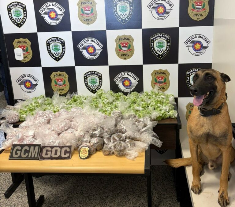 Drogas são apreendidas na tarde de hoje, em Paulínia