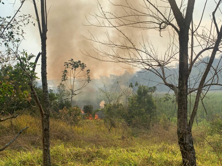 VÍDEO: Incêndio atinge área de mais de 300 mil m² em Caçapava