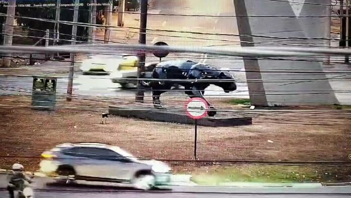 Fuga de Porsche em Jaguariúna