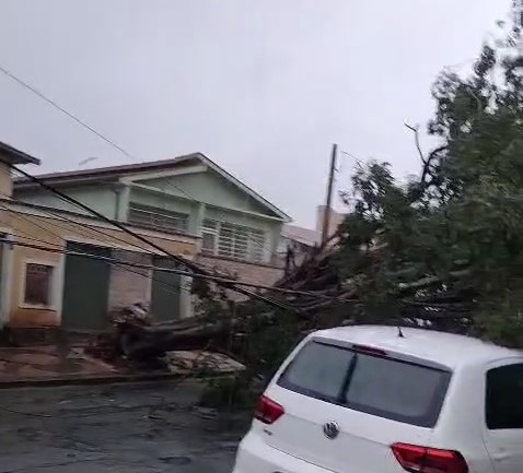 Prefeitura divulga nota após tempestade nessa segunda-feira (22)