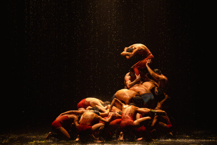 Festidança 2025 começa na sexta (5) em São José com mais de 180 coreografias