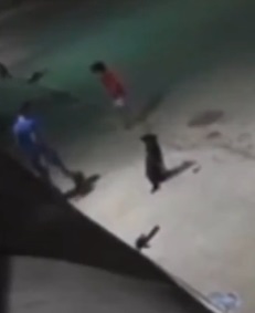 Homem que atropelou criança em Bertioga é identificado