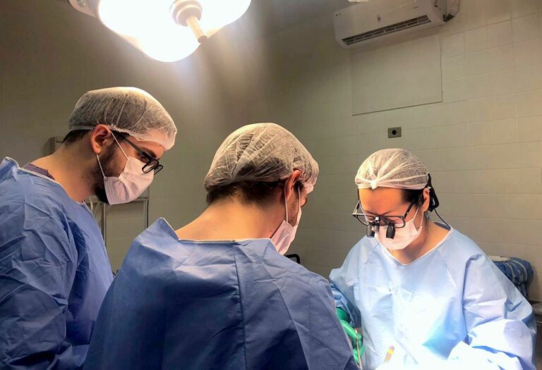 Em dez anos, Santa Casa de Araçatuba capta 356 órgãos transplantados