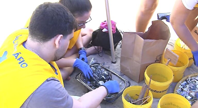 Grande mutirão de limpeza reúne mais de 120 instituições na Baixada Santista