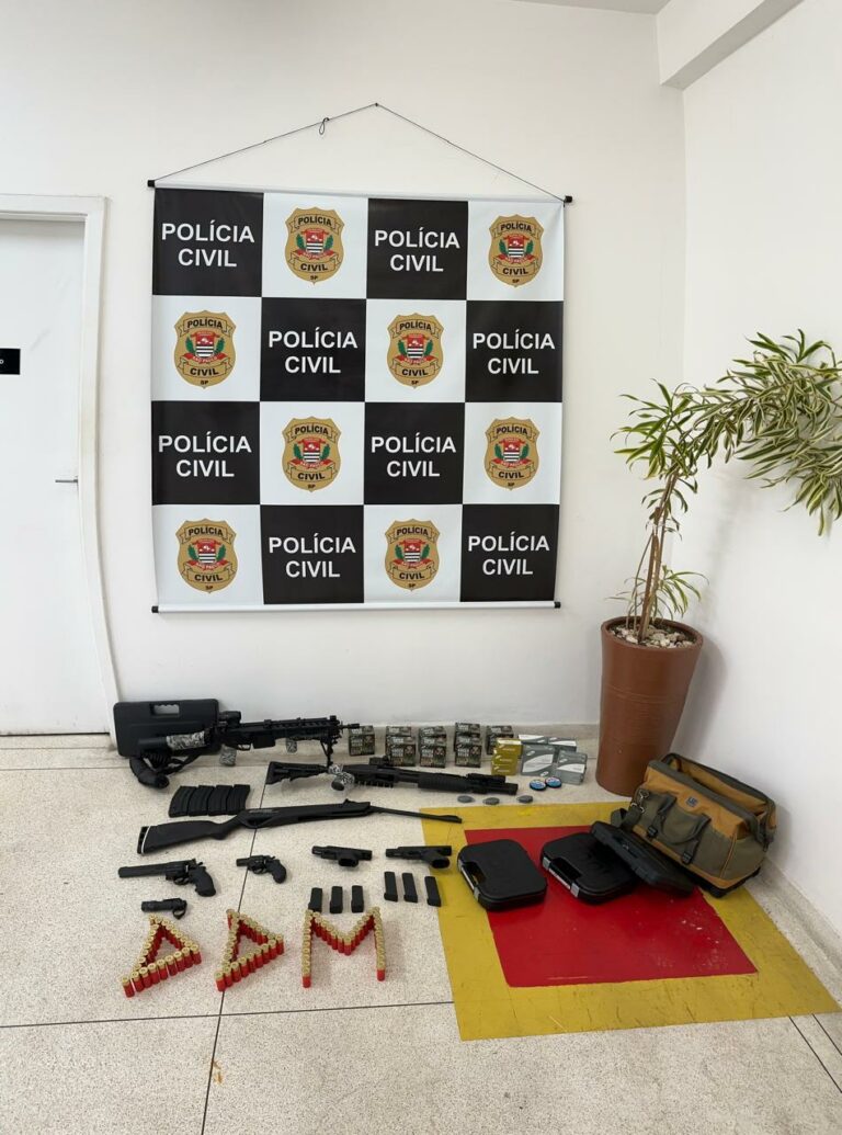 Polícia apreende inúmeras armas em local com mandado por violência doméstica
