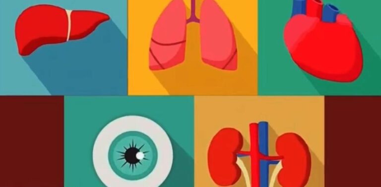 Dia Nacional da Doação de Órgãos: Brasil bate recorde histórico, mas 45% das famílias ainda recusam