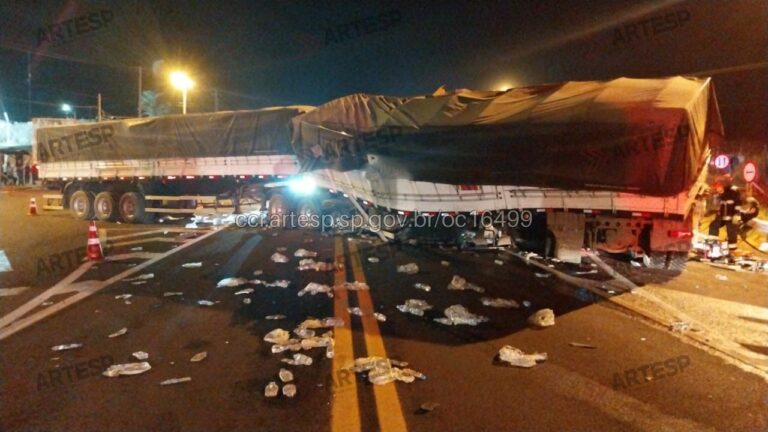 Acidente entre caminhão e bitrem deixa uma pessoa morta e interdita rodovia