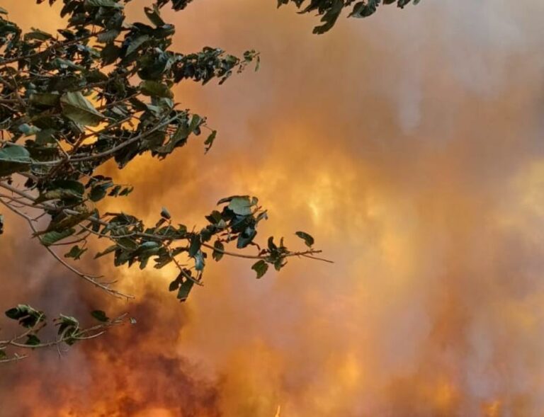 Incêndio em Rubiácea prejudica trânsito na Marechal Rondon