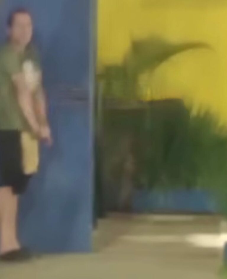 Homem que foi preso e agredido por populares após praticar atos obcenos em Santos é liberado