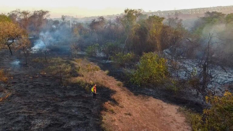 Araçatuba tem alto risco de incêndio, alerta Defesa Civil
