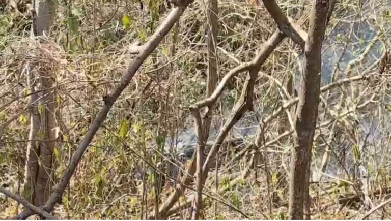 Força-tarefa combate incêndio de grandes proporções por cinco dias, em Zacarias