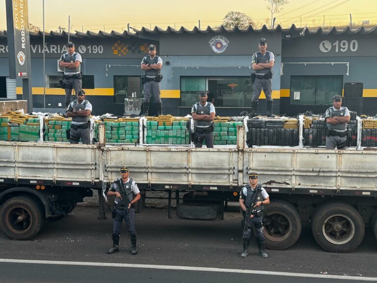 Polícia apreende quase 8 toneladas de maconha em rodovia de Adamantina
