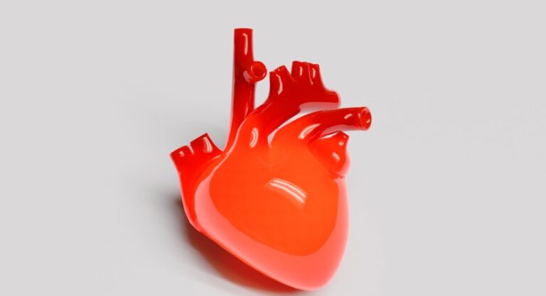 O coração sob a lente nuclear: como exames nucleares salvam vidas