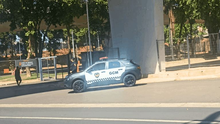 Homem de 41 anos é preso por estupro em Rio Preto