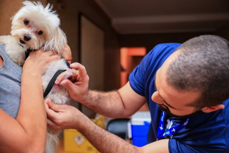 Ribeirão Preto amplia vacinação antirrábica e leva imunização gratuita ao lado Leste