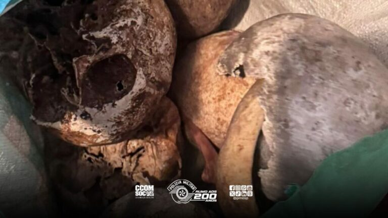 PM encontra crânios e ossos humanos em apartamento 