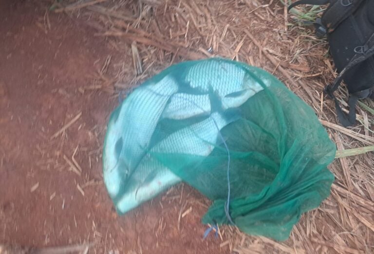 Pescadores são autuados em Área de Preservação do Rio Pardo; Pescados foram apreendidos e doados