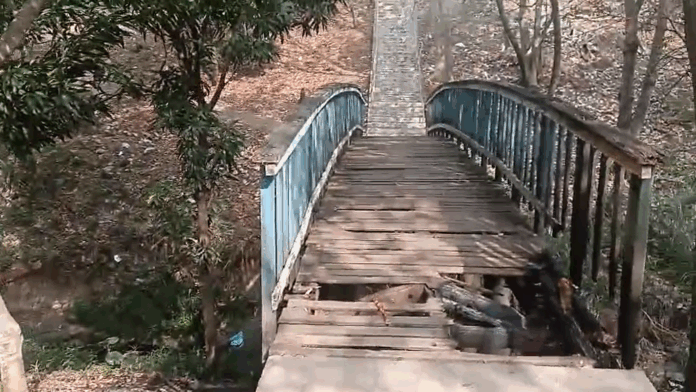 Mães e crianças enfrentam ponte esburacada a caminho da escola em Limeira