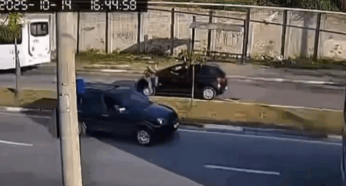 Captura de tela 2025-10-16 185535