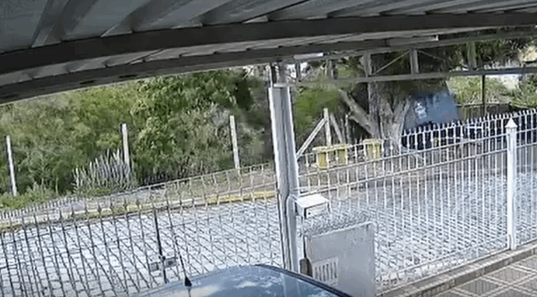 VÍDEO: galho de árvore cai e destrói trailer de lanches