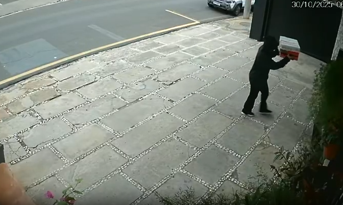 VÍDEO: gatos são abandonados em porta de petshop em Americana