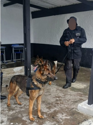 Operação Retorno Seguro divulga balanço de apreensão de drogas na útlima saída temporária na Baixada Santista