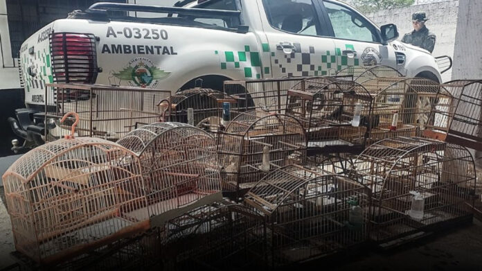 PORTAL-DE-NOTICIAS-2025-10-16T090731.158 (1)