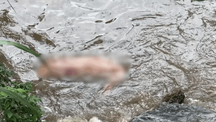 Corpo é encontrado boiando no Rio Capivari