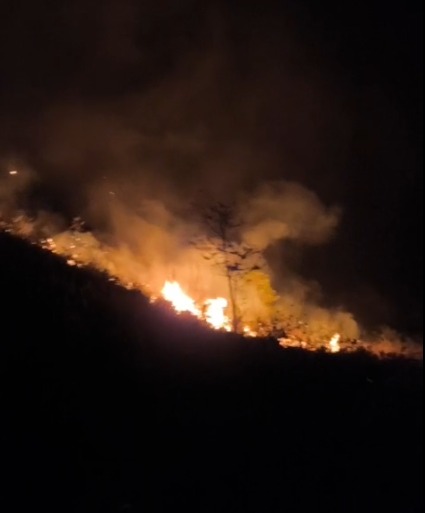 Incêndio atinge área de vegetação em morro de São Sebastião