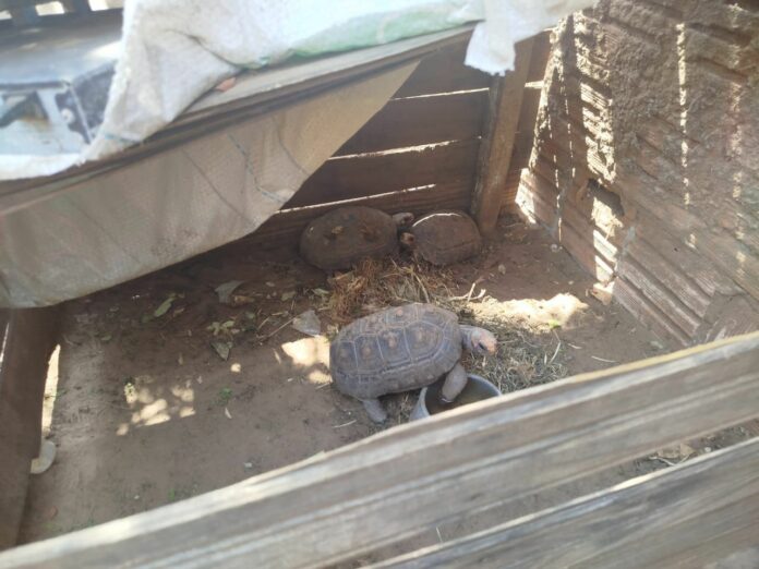 WhatsApp Image 2025-10-02 at 09.30.39