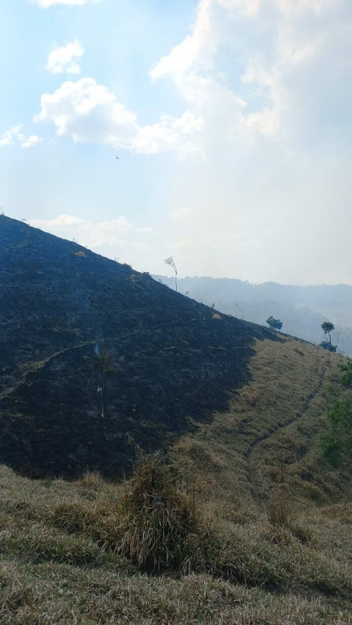Queimada atinge área de proteção ambiental no Parque Estadual da Serra do Mar, em Cunha