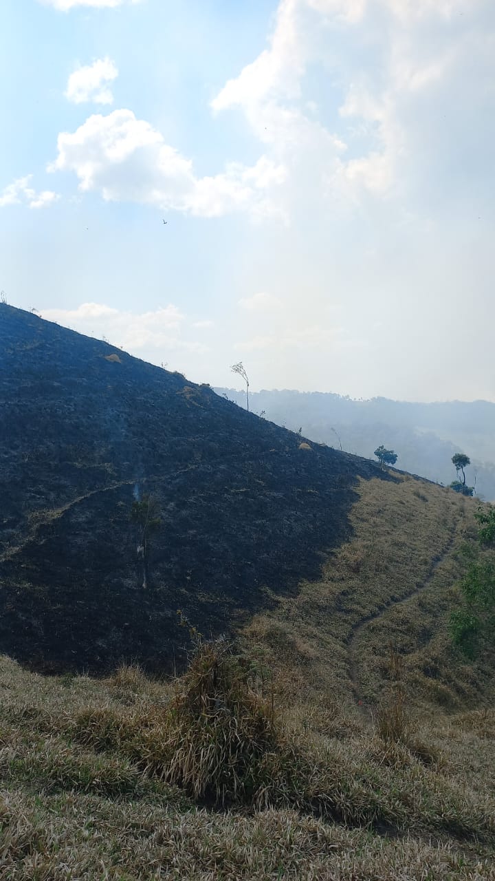 Queimada atinge área de proteção ambiental no Parque Estadual da Serra do Mar, em Cunha