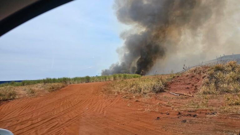 Incluindo Ribeirão, risco de incêndios segue elevado em todo o estado de SP